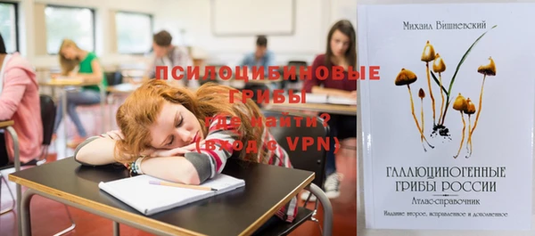 дурь Алзамай