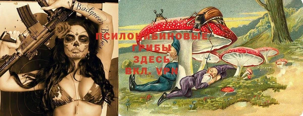 прущий лед Алексеевка