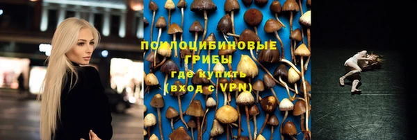 прущий лед Алексеевка