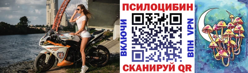 Галлюциногенные грибы GOLDEN TEACHER маркетплейс формула Томари